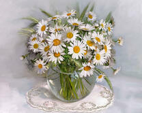 Без бренда «2KMA-0021» в Кемерово