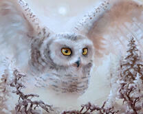 Без бренда «2KMB-3848» в Кемерово