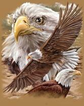 Без бренда «2KMB-4315» в Кемерово