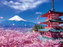 Без бренда «2KSB-7277» в Кемерово