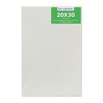 Без бренда «Коробка 80 шт.: Холст Две картинки на подрамнике 20X30» в Кемерово