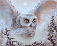 Без бренда «Полярная сова над лесом (20шт)» в Кемерово