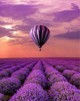 Без бренда «Фиолетовый воздушный шар над фиолетовым лавандовым полем (20шт)» в Кемерово