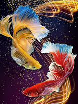 Без бренда «Желтая и красная рыбки (20шт)» в Кемерово