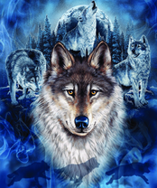 Без бренда «BOX40-2KXSB-0687» в Кемерово