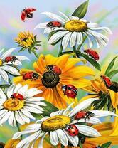 Божьи коровки на ромашках