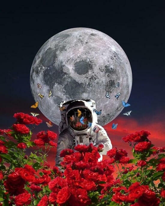 Картина по номерам 40x50 Космонавт среди красных цветов