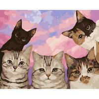 Без бренда «Такие разные котики» в Кемерово