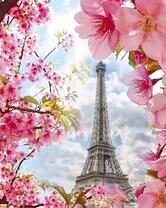 Эйфелева башня в розовых цветах