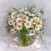 Без бренда «Букет свежих ромашек» в Кемерово в интернет-магазине  Без бренда «Букет свежих ромашек» в Кемерово