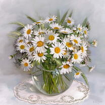 Без бренда «Букет свежих ромашек» в Кемерово