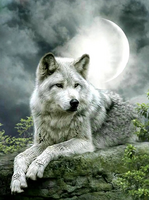 Без бренда «Коробка 25 шт. картин по номерам BOX25-GX21058» в Кемерово