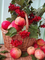 Без бренда «Коробка 25 шт. картин по номерам BOX25-GX5174» в Кемерово