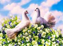 Две белых голубки на цветущем кустике