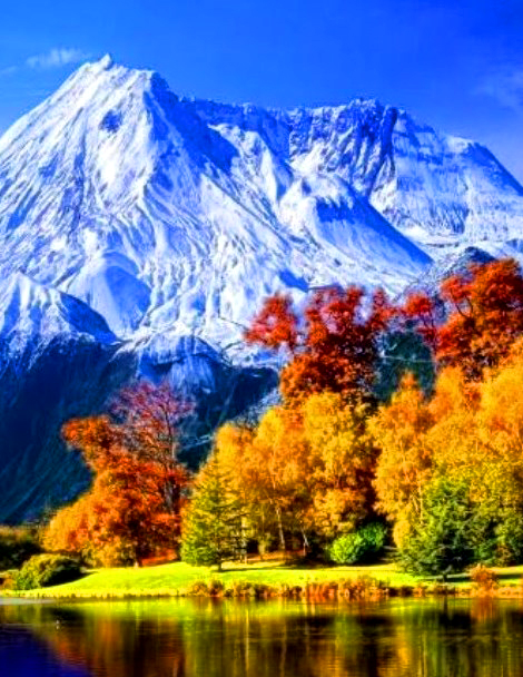 Картина по номерам 40x50 Осенний лес и снежные вершины гор