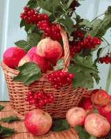 Без бренда «Плетёная корзина с калиной и яблоками» в Кемерово