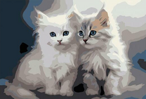 Два белых пушистых котёнка