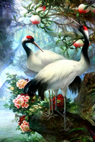 Без бренда «Коробка 25 шт. картин по номерам BOX25-GX29399» в Кемерово в интернет-магазине  Без бренда «Коробка 25 шт. картин по номерам BOX25-GX29399» в Кемерово