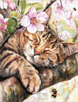 Без бренда «Волосатый котик спит на ветви яблони» в Кемерово в интернет-магазине  Без бренда «Волосатый котик спит на ветви яблони» в Кемерово