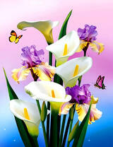 Букет из калл и ирисов